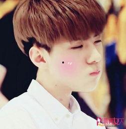 个人资料吴世勋,韩流偶像的青春魅力与音乐梦想