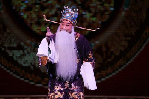 京剧演员张萍,传承与创新的艺术风采